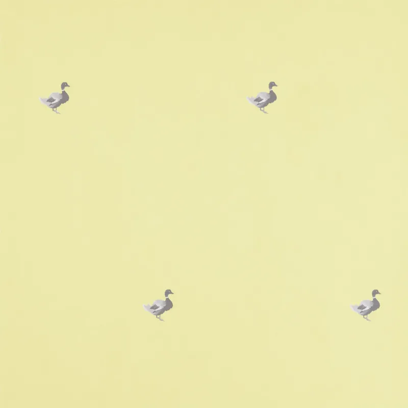 Ducks In A Row Wallpaper – BLYTHE